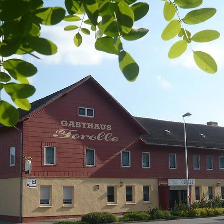 Gasthaus Forelle Thale Exteriör bild