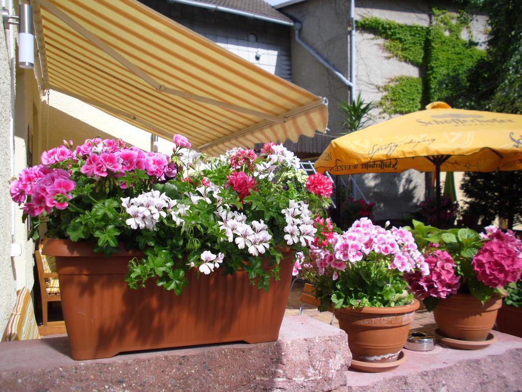 Gasthaus Forelle Thale Exteriör bild