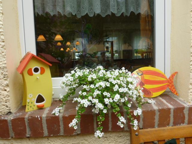 Gasthaus Forelle Thale Exteriör bild