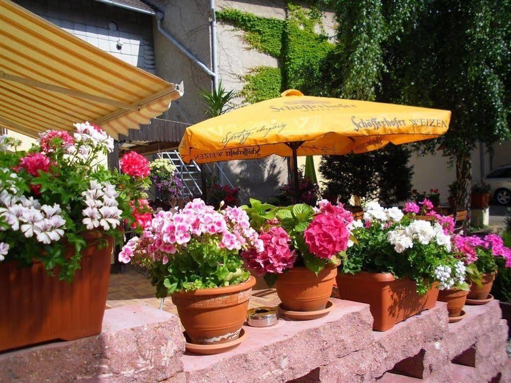 Gasthaus Forelle Thale Exteriör bild